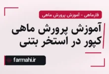 آموزش پرورش ماهی کپور در استخر بتنی