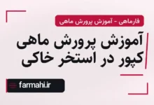 آموزش پرورش ماهی کپور در استخر خاکی