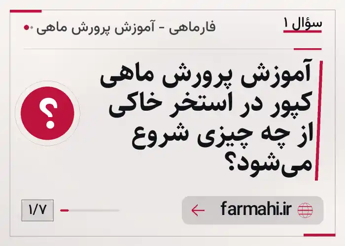 آموزش پرورش ماهی کپور در استخر خاکی از چه چیزی شروع می‌شود؟