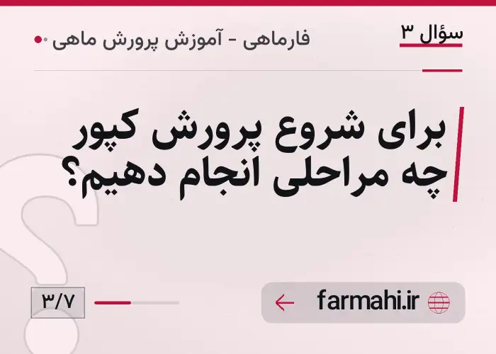 برای شروع پرورش کپور چه مراحلی انجام دهیم؟