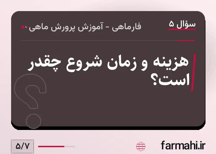 هزینه و زمان شروع چقدر است؟