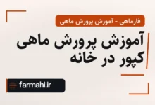 آموزش پرورش ماهی کپور در خانه