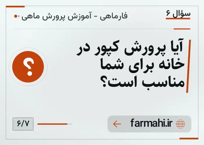 آیا پرورش کپور در خانه برای شما مناسب است؟