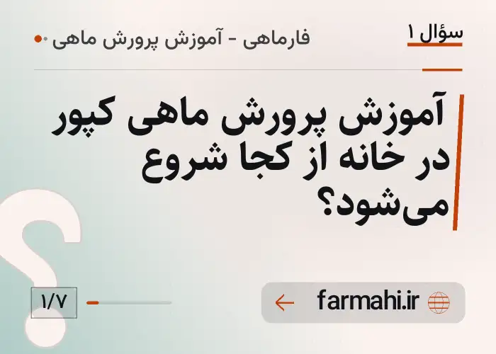 آموزش پرورش ماهی کپور در خانه از کجا شروع می‌شود؟