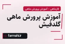 آموزش پرورش ماهی گلدفیش