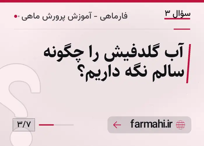 آب گلدفیش را چگونه سالم نگه داریم؟