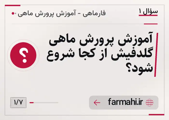 آموزش پرورش ماهی گلدفیش از کجا شروع شود؟
