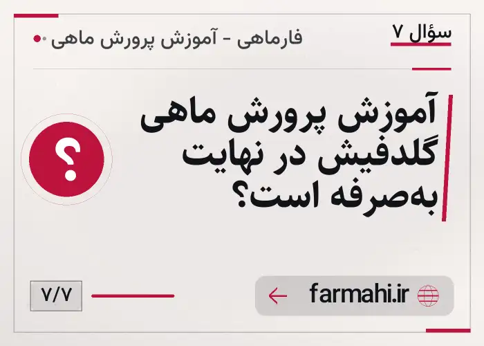 آموزش پرورش ماهی گلدفیش در نهایت به‌صرفه است؟
