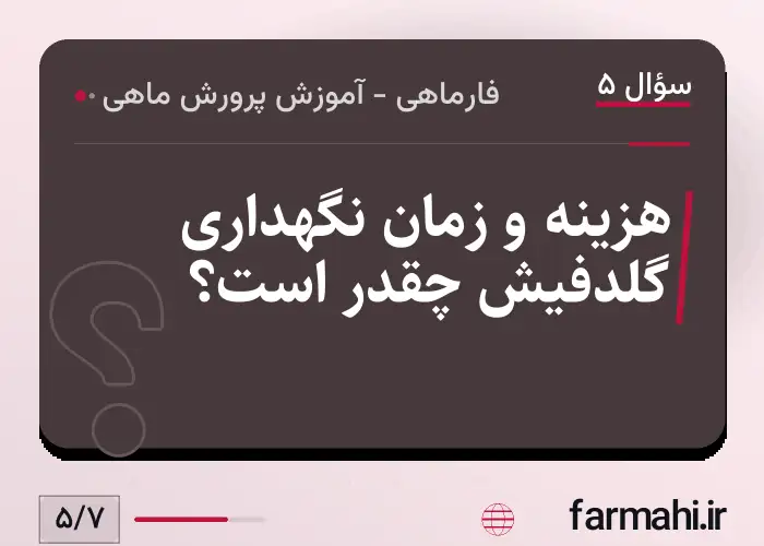 هزینه و زمان نگهداری گلدفیش چقدر است؟