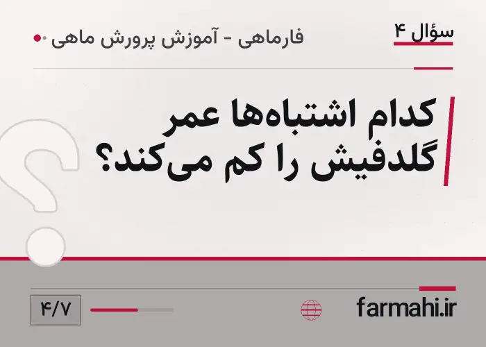 کدام اشتباه‌ها عمر گلدفیش را کم می‌کند؟