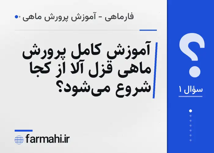 آموزش کامل پرورش ماهی قزل آلا از کجا شروع می‌شود؟