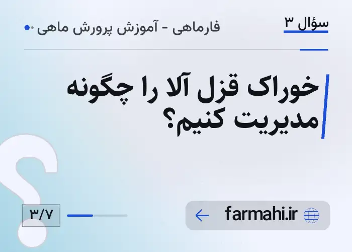 خوراک قزل آلا را چگونه مدیریت کنیم؟