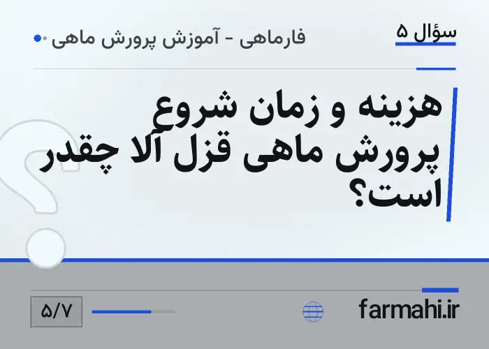 هزینه و زمان شروع پرورش ماهی قزل آلا چقدر است؟