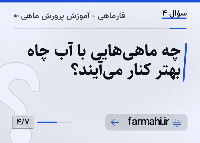 چه ماهی‌هایی با آب چاه بهتر کنار می‌آیند؟