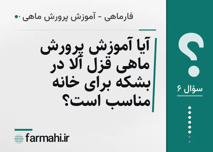 آیا آموزش پرورش ماهی قزل آلا در بشکه برای خانه مناسب است؟