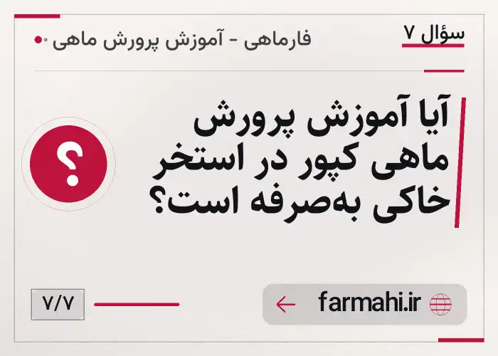 آیا آموزش پرورش ماهی کپور در استخر خاکی به‌صرفه است؟