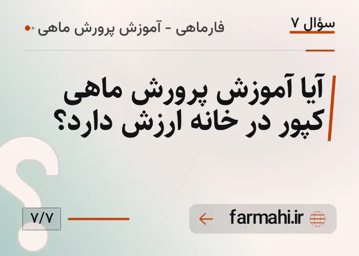 آیا آموزش پرورش ماهی کپور در خانه ارزش دارد؟