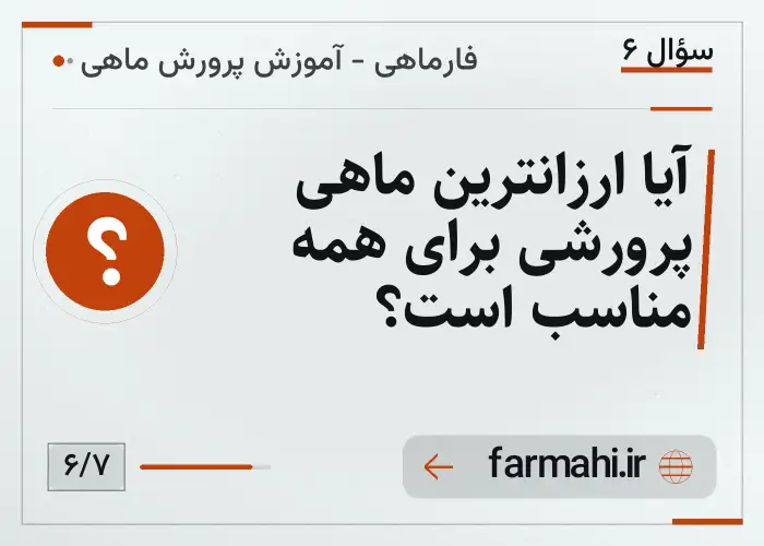 آیا ارزانترین ماهی پرورشی برای همه مناسب است؟