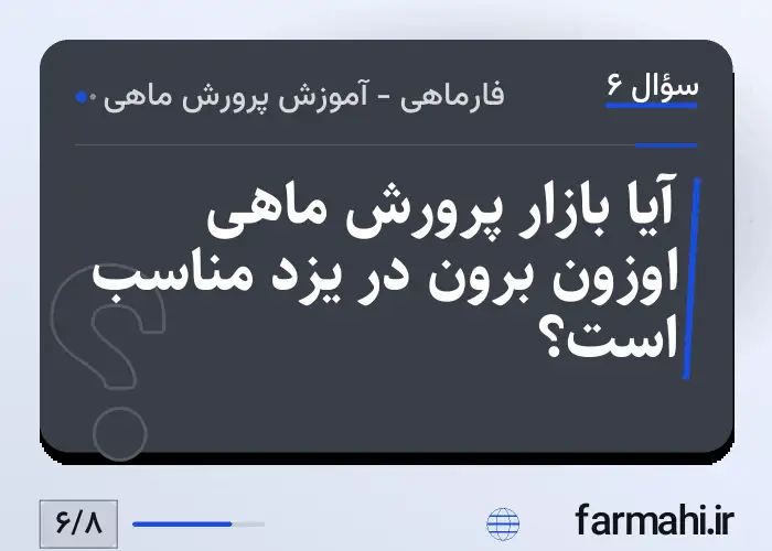 آیا بازار پرورش ماهی اوزون برون در یزد مناسب است؟