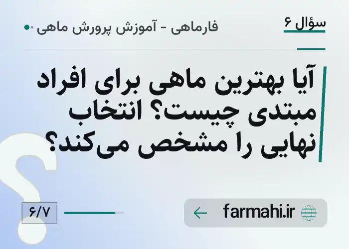 آیا بهترین ماهی برای افراد مبتدی چیست؟ انتخاب نهایی را مشخص می‌کند؟