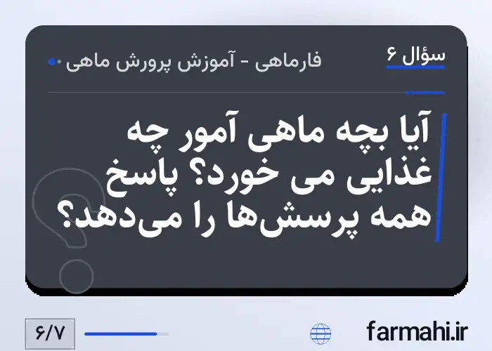 آیا بچه ماهی آمور چه غذایی می خورد؟ پاسخ همه پرسش‌ها را می‌دهد؟