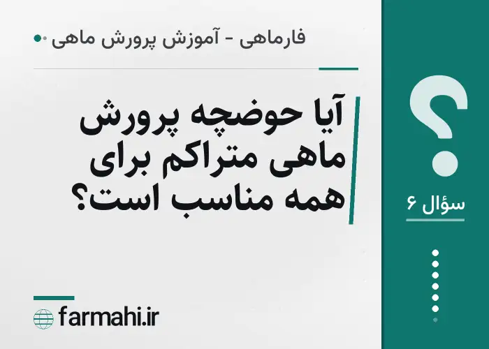 آیا حوضچه پرورش ماهی متراکم برای همه مناسب است؟