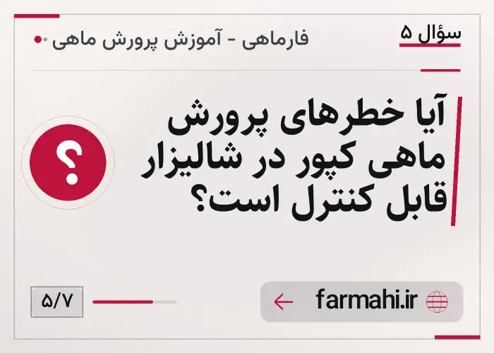 آیا خطرهای پرورش ماهی کپور در شالیزار قابل کنترل است؟