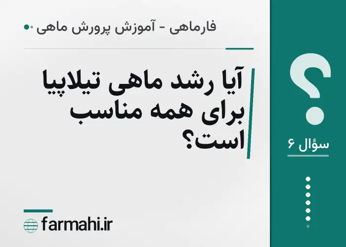 آیا رشد ماهی تیلاپیا برای همه مناسب است؟