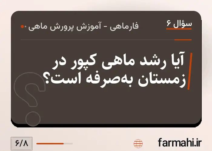 آیا رشد ماهی کپور در زمستان به‌صرفه است؟