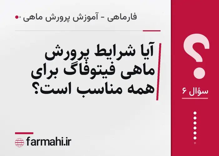 آیا شرایط پرورش ماهی فیتوفاگ برای همه مناسب است؟