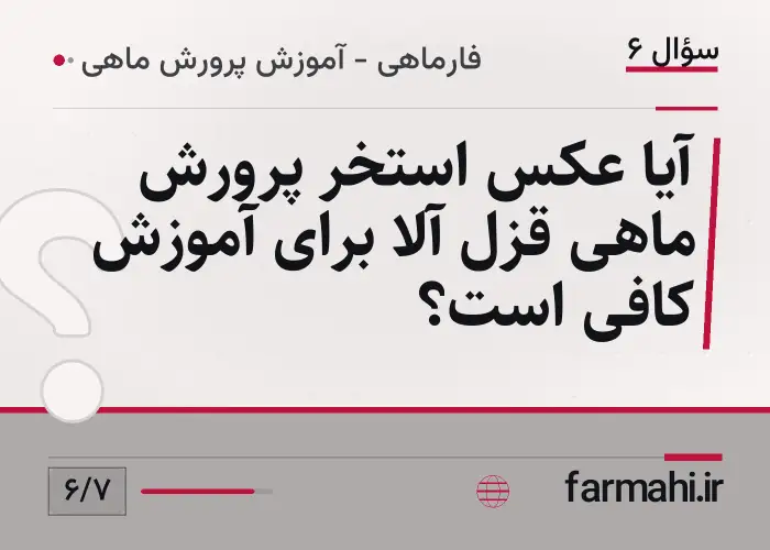 آیا عکس استخر پرورش ماهی قزل آلا برای آموزش کافی است؟