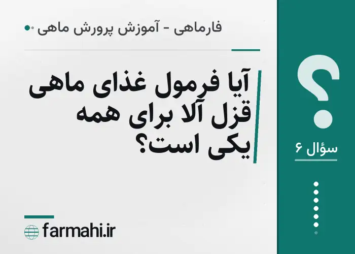 آیا فرمول غذای ماهی قزل آلا برای همه یکی است؟