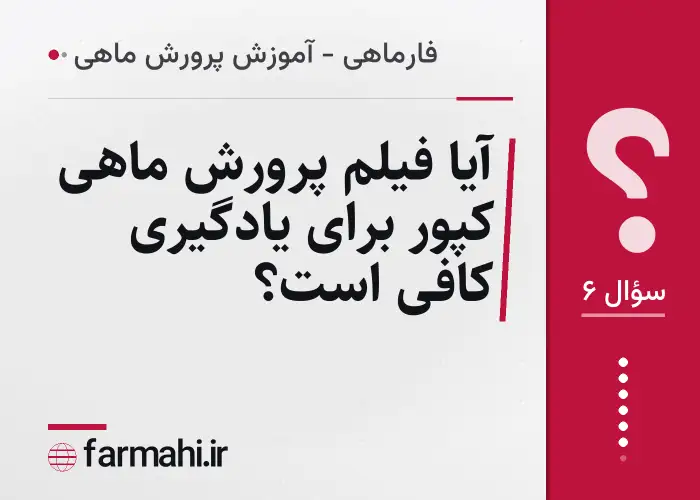 آیا فیلم پرورش ماهی کپور برای یادگیری کافی است؟