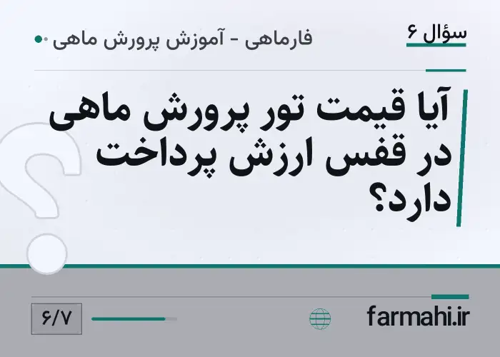 آیا قیمت تور پرورش ماهی در قفس ارزش پرداخت دارد؟