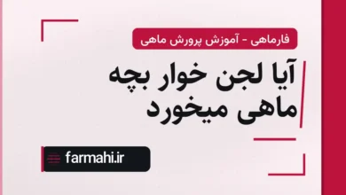 آیا لجن خوار بچه ماهی میخورد