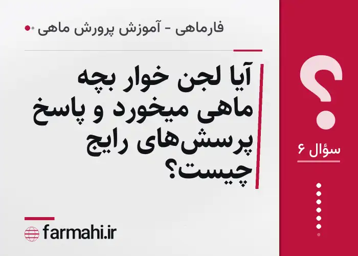 آیا لجن خوار بچه ماهی میخورد و پاسخ پرسش‌های رایج چیست؟