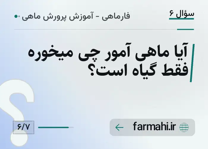 آیا ماهی آمور چی میخوره فقط گیاه است؟
