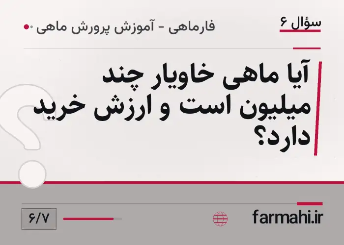 آیا ماهی خاویار چند میلیون است و ارزش خرید دارد؟