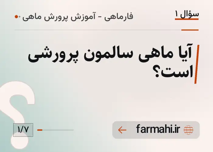 آیا ماهی سالمون پرورشی است؟