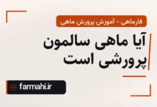 آیا ماهی سالمون پرورشی است