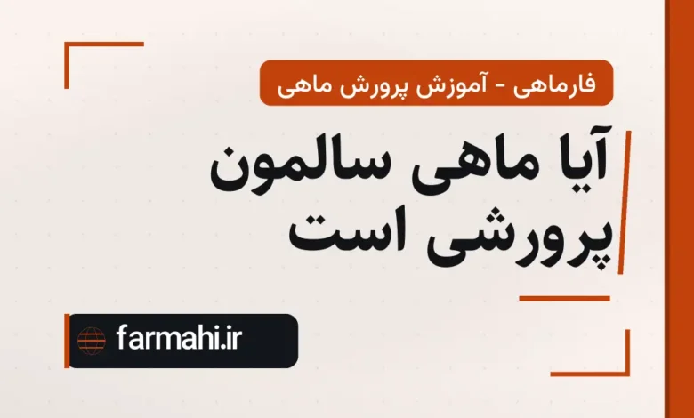 آیا ماهی سالمون پرورشی است