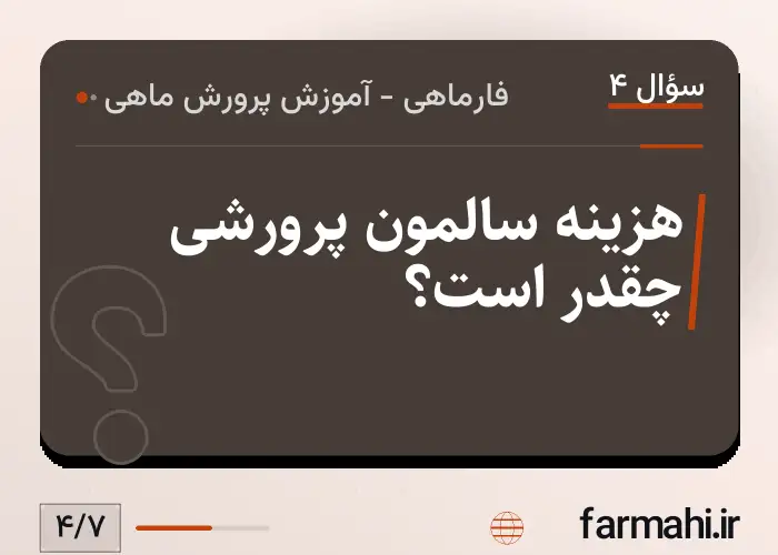 هزینه سالمون پرورشی چقدر است؟