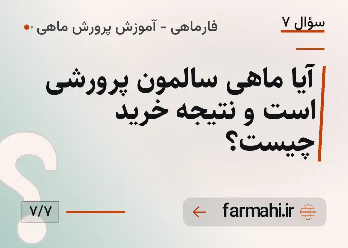 آیا ماهی سالمون پرورشی است و نتیجه خرید چیست؟