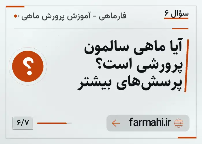 آیا ماهی سالمون پرورشی است؟ پرسش‌های بیشتر