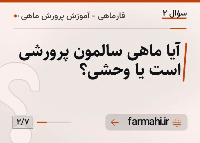 آیا ماهی سالمون پرورشی است یا وحشی؟
