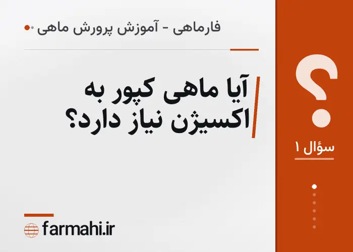 آیا ماهی کپور به اکسیژن نیاز دارد؟