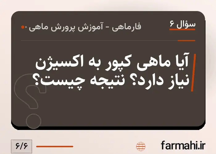 آیا ماهی کپور به اکسیژن نیاز دارد؟ نتیجه چیست؟
