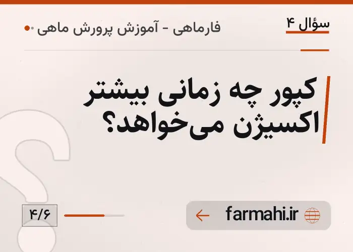 کپور چه زمانی بیشتر اکسیژن می‌خواهد؟