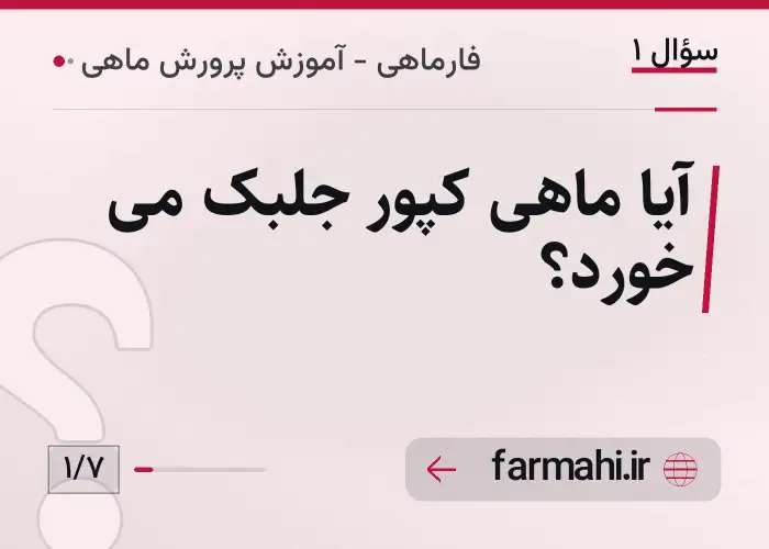 آیا ماهی کپور جلبک می خورد؟