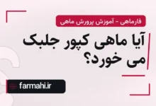 آیا ماهی کپور جلبک می خورد؟